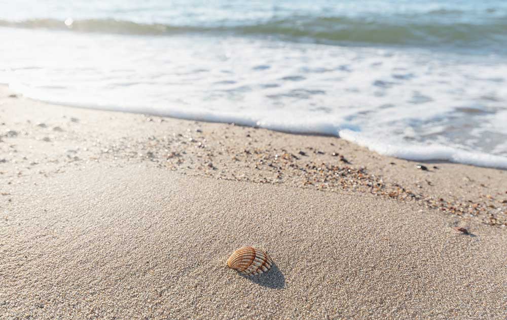 Das Foto zeigt Sand und Wasser vom Meer.